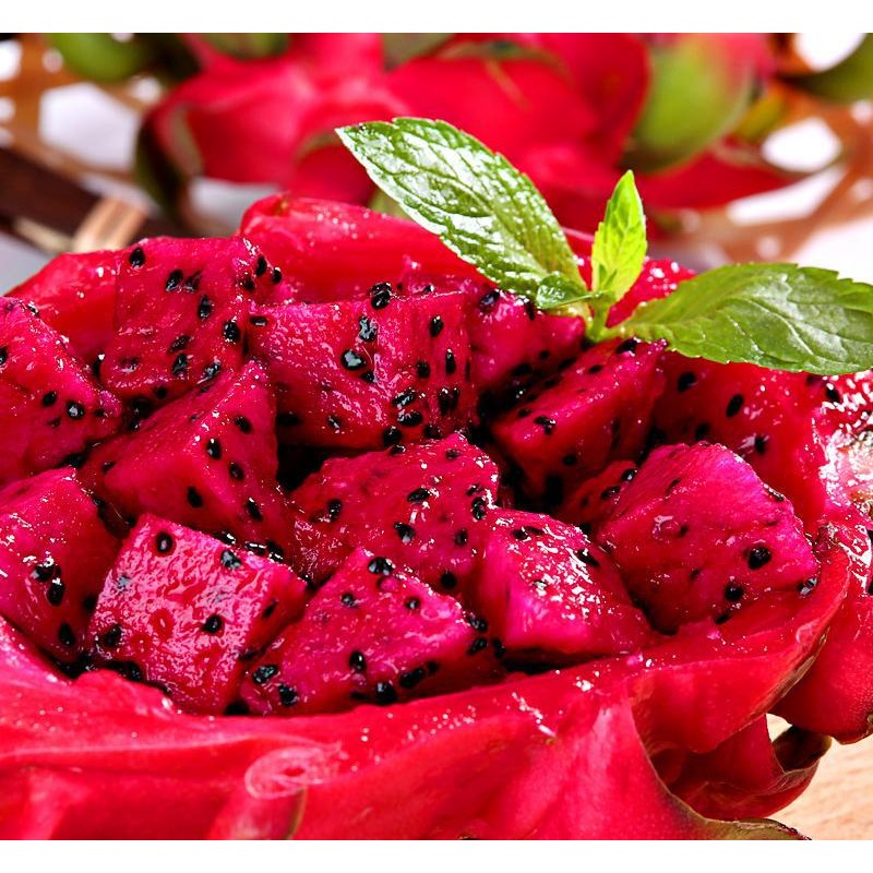 Bulk Red Organic Pink Pitaya Powder Dragon Fruit Juice Powder Spray Dragon Fruit Powder