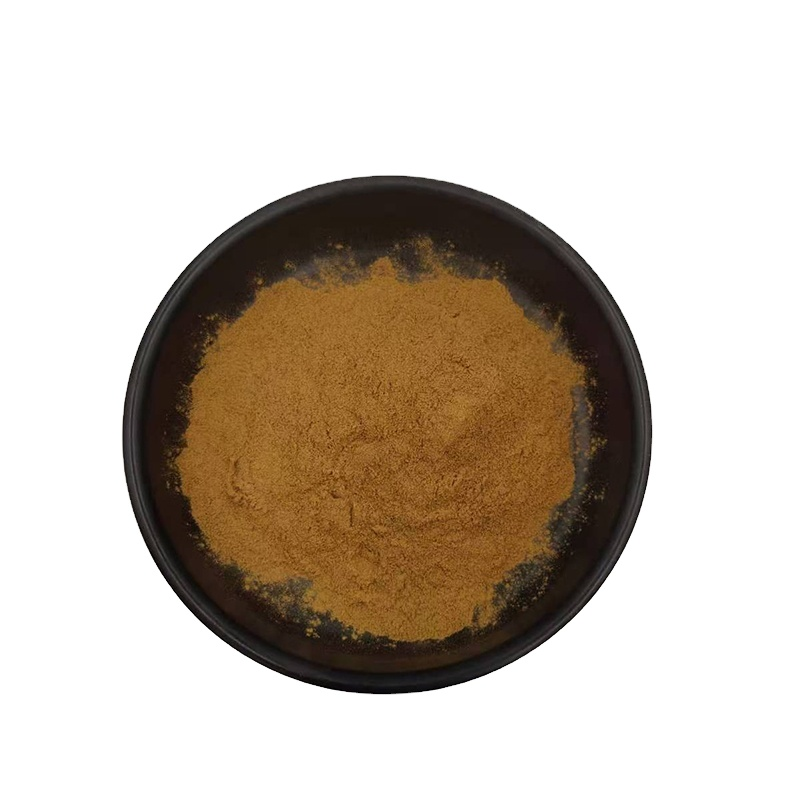 Cinnamon Extract Powder Polyphenols 20% Cinnamon Bark Powder Natural Bulk Cinnamomum Cassia Extract