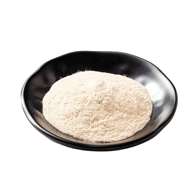 Cheese Rennet Powder Wholesale Bulk Rennet Enzyme 4000U/G