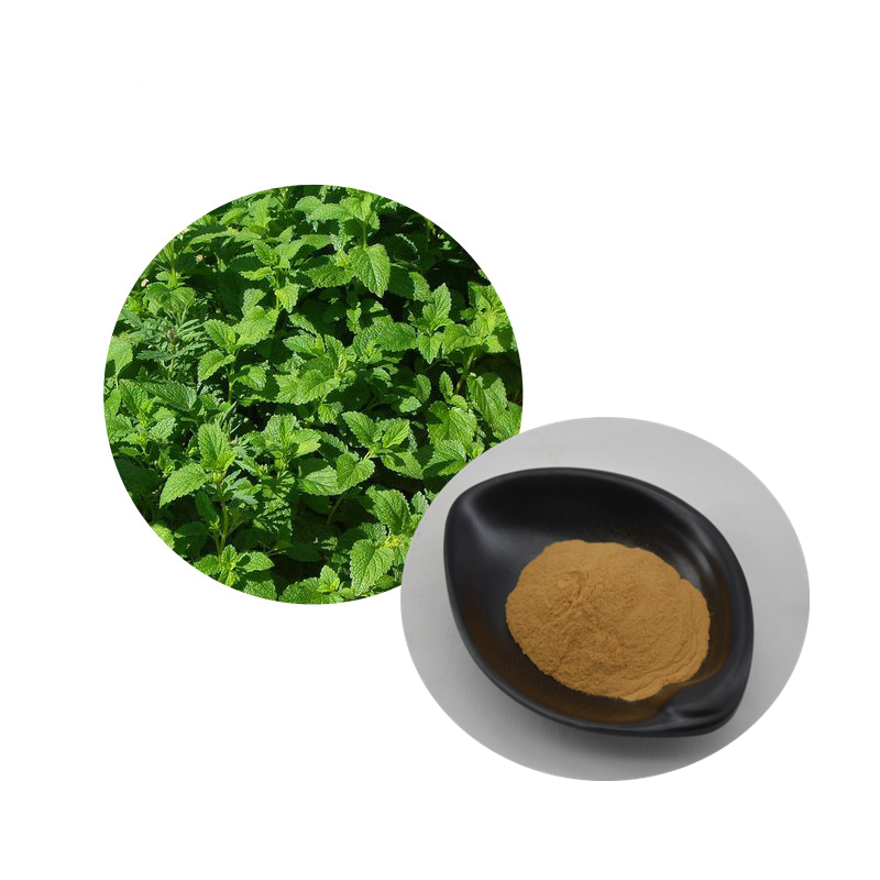 Lemon Balm Extract 5% Rosmarinic Acid Powder Natural Bulk Melissa Extract Powder