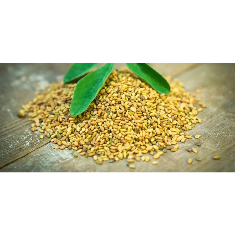 Fenugreek Extract Capsules Food Supplement Saponins Powder 50% Fenugreek Extract Powder