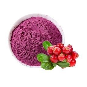 Bilberry Extract Fruit Bilberry Powder Food Supplement Bilberry Fruit Powder