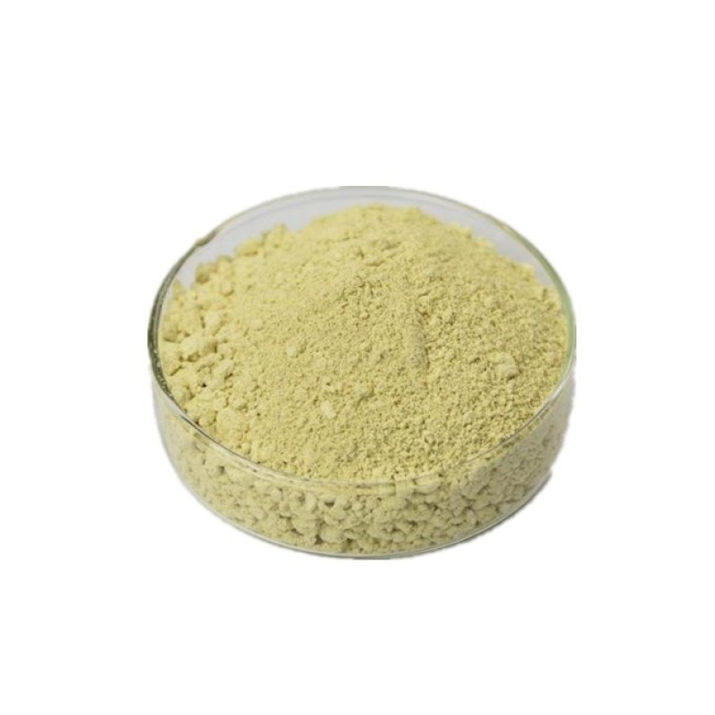 Euglenophyta Euglena Powder Extract Polysaccharide 58% Nutritional Supplement Euglena Gracilis Powder Naked Algae Powder