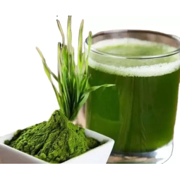 Organic ISO Halal Kosher BRC Certificated Hot Selling Barley Powder Grass Barley Grass Juice Extract Powder