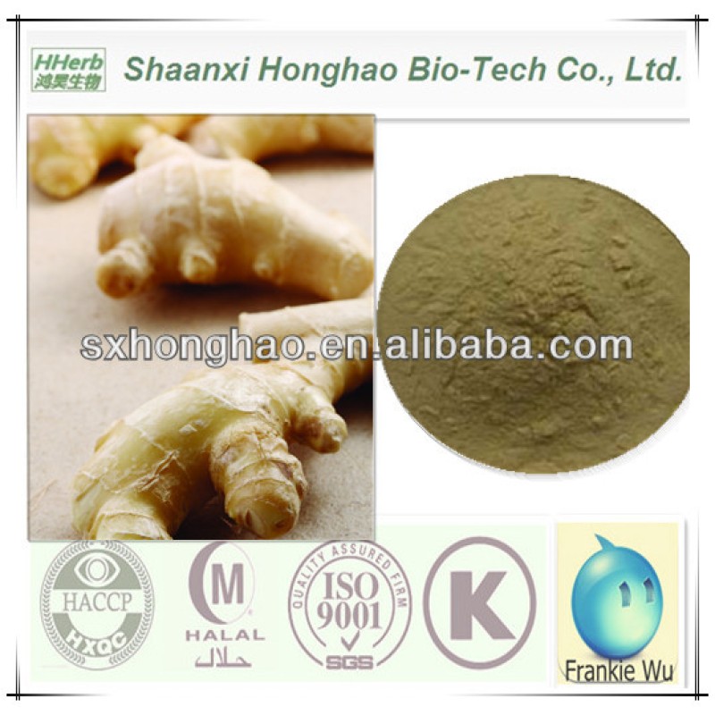 Wholesale Factory Supply  Ginger root extract Gingerol Ginger Extract Powder