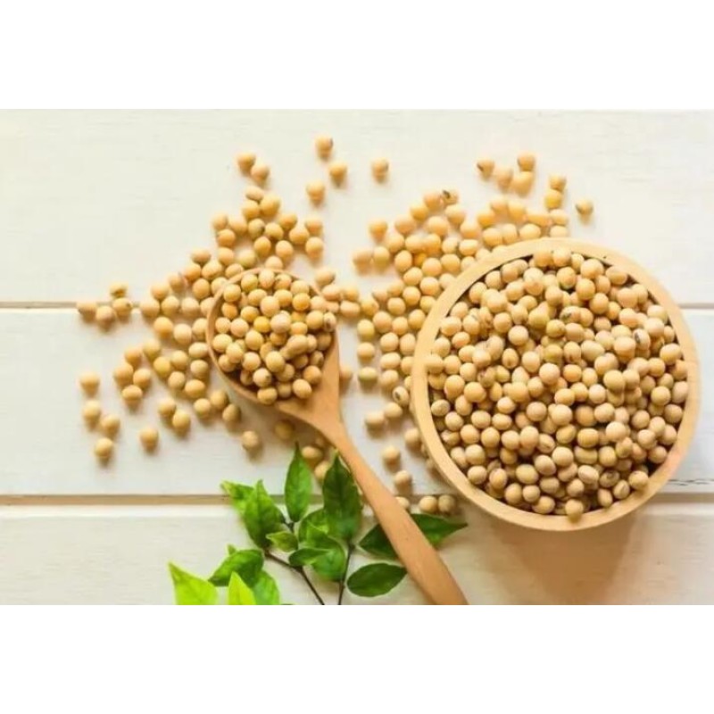 Bulk Soybean Germ Extract Soy Isoflavones Powder