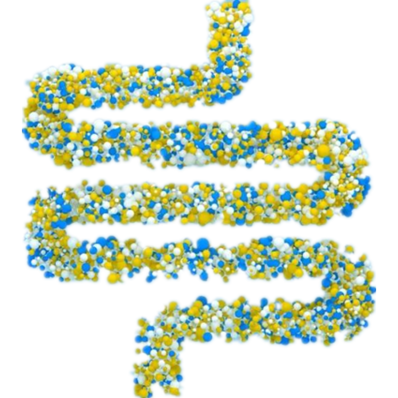 Probiotics Supplement HONGHAO Supply Lactobacillus Plantarum Freeze Dried Powder