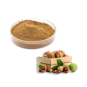 Halal Factory Bulk Black Walnut Seed Powder  High Quality Walnut Powder