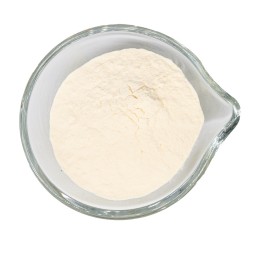 High Quality 90% Bovine Bone Collagen Powder