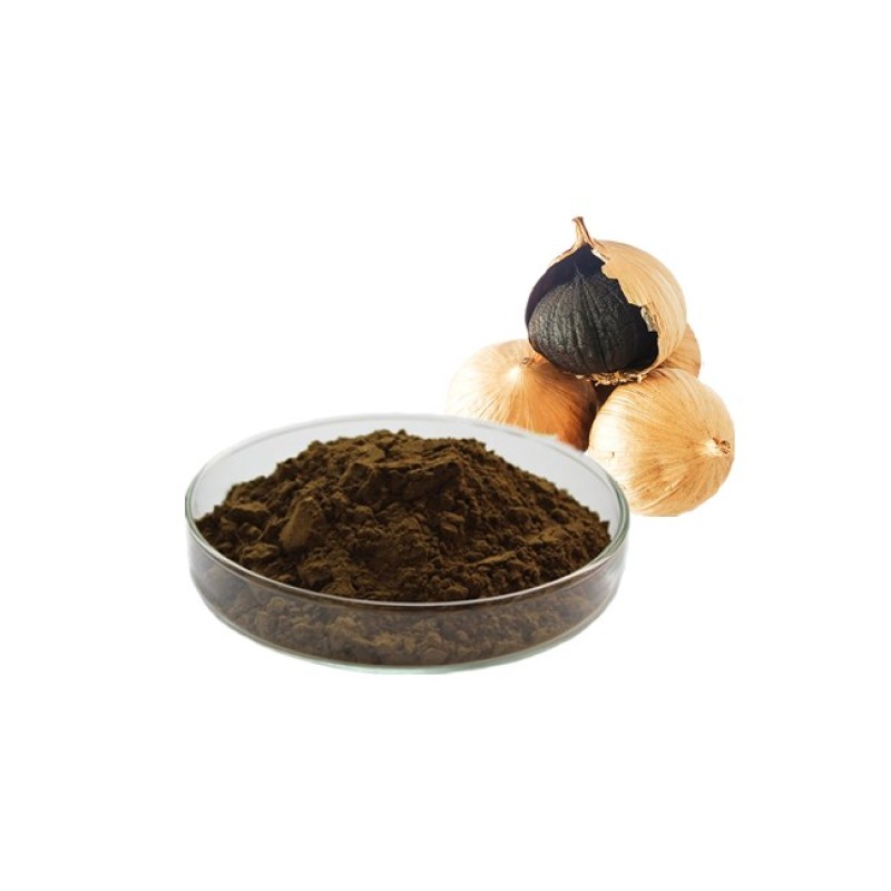 Black Garlic Extract Powder Supplement Black Garlic S-allylcysteine SAC Powder 1%