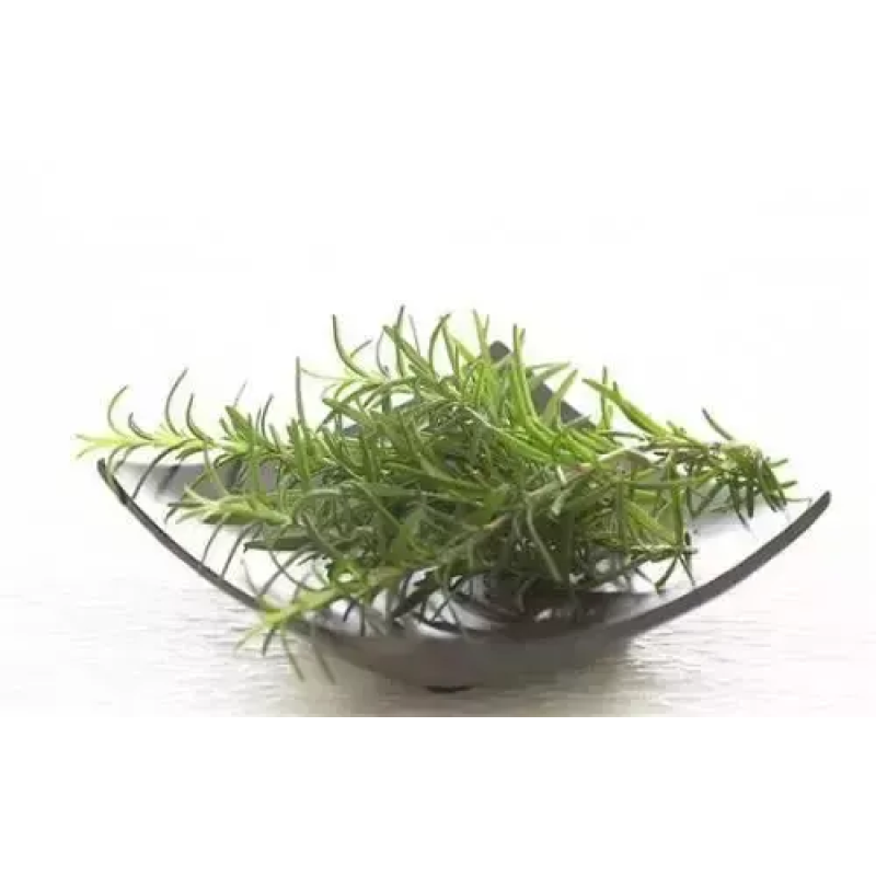 Wholesale Factory Supply Pure Rosemary Extract Powder Rosemary Leaf Extract Extract