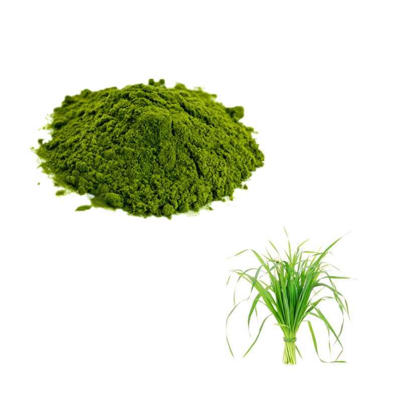 Factory Supply Wholesale Organic Certificated Oat Grass Powder Organic Oat Grass Juice Powder