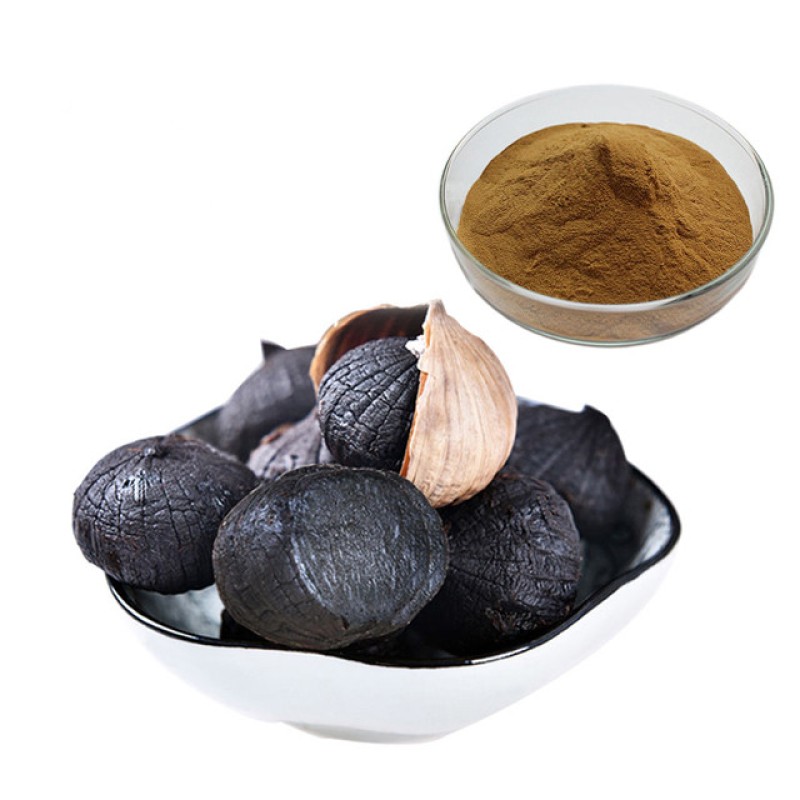 Iso Manufacturer Organic Black Garlic Extract/pure Black Garlic Powder/ Black Garlic P.e.