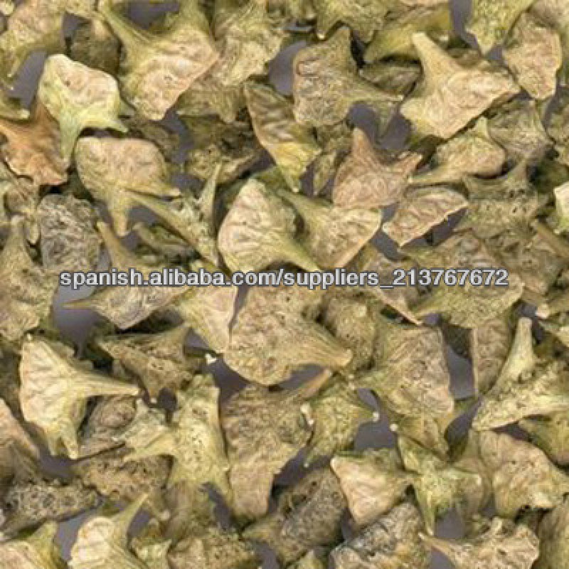 Tribulus Terrestris Saponin Powder 90% Raw Material Tribulus Terrestris Extract Capsules Tribulus Extract Saponins