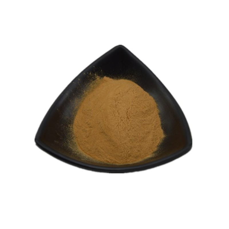 Turkey Tail Mushroom Powder Bulk Price Yunzhi Coriolus Versicolor NOP EU Organic Trametes Versicolor Powder