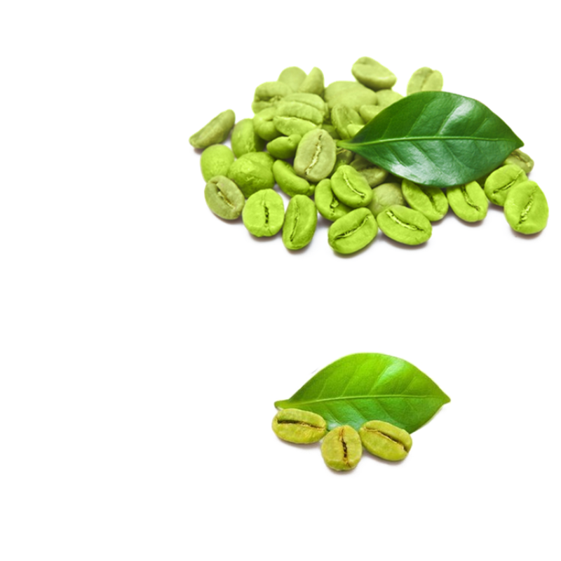 Wholesale Price Green Coffee Bean Extract 50% Chlorogenic Acid Powder