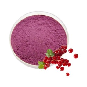 Cranberry Powder Food Grade Cranberry Fruit Powder Supplement Fruit Extract Cranberry Juice Powder