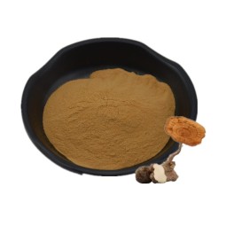 Tiger Milk Mushroom Extract Hot Sales Lignosus Rhinocerus Extract Powder 30% Polysaccharides Tiger Milk Mushroom Powder