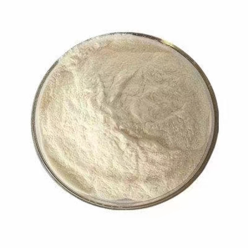 Organic Natural Natto Extract Nattokinase Powder