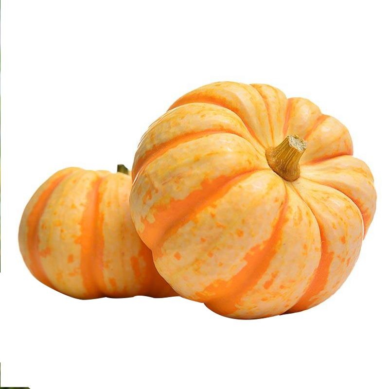 Food Grade Natural Pumpkin Powder Extract Solvent Extraction Chinese Factory Supply Bottle or Drum Packaging