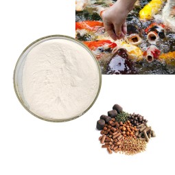 Factory supply wholesale betaine hcl animal feed 99% betaine