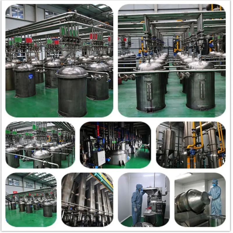 Wholesale Price Aspergillus Acid Protease 1000 SAPU Bulk Acid Protease Enzyme Powder