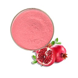 Halal  Natural Pomegranate Juice Powder 100% Pomegranate Powder