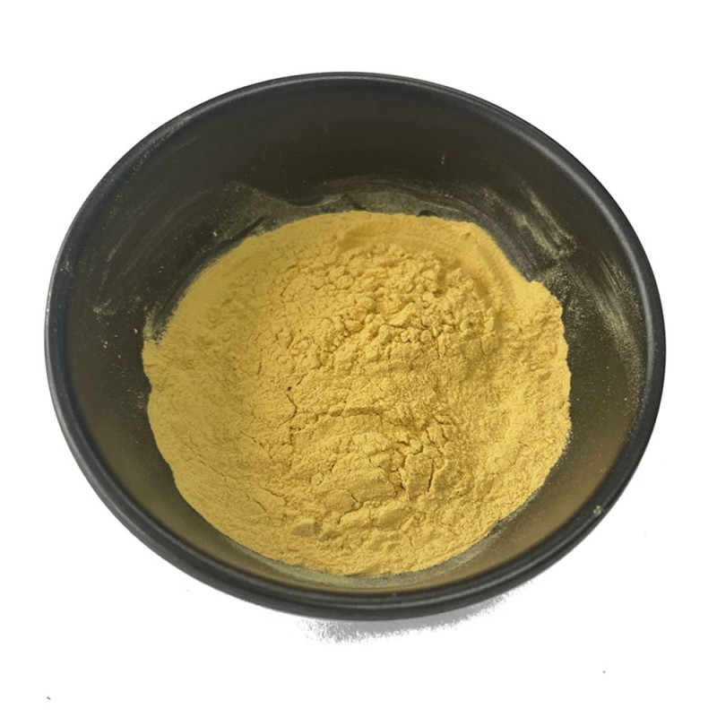 Organic/ Kosher/ Halal Certificated Cordyceps Militaris Extract 20% Polysaccharides