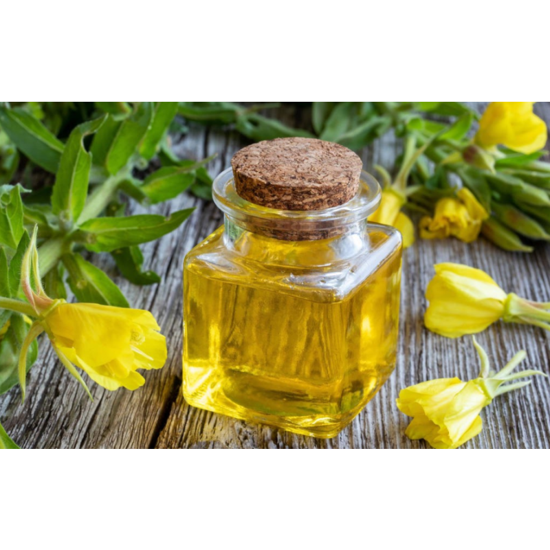 Natural Evening Primrose Capsules Seed Oil Liquid Good Quality Evening Primrose Oil Supplement