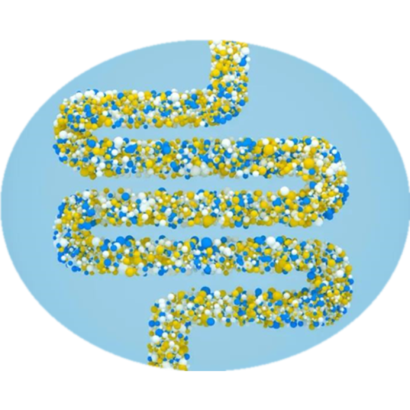 High Activity Probiotics Powder Food Grade 100Billion Bacillus Coagulans