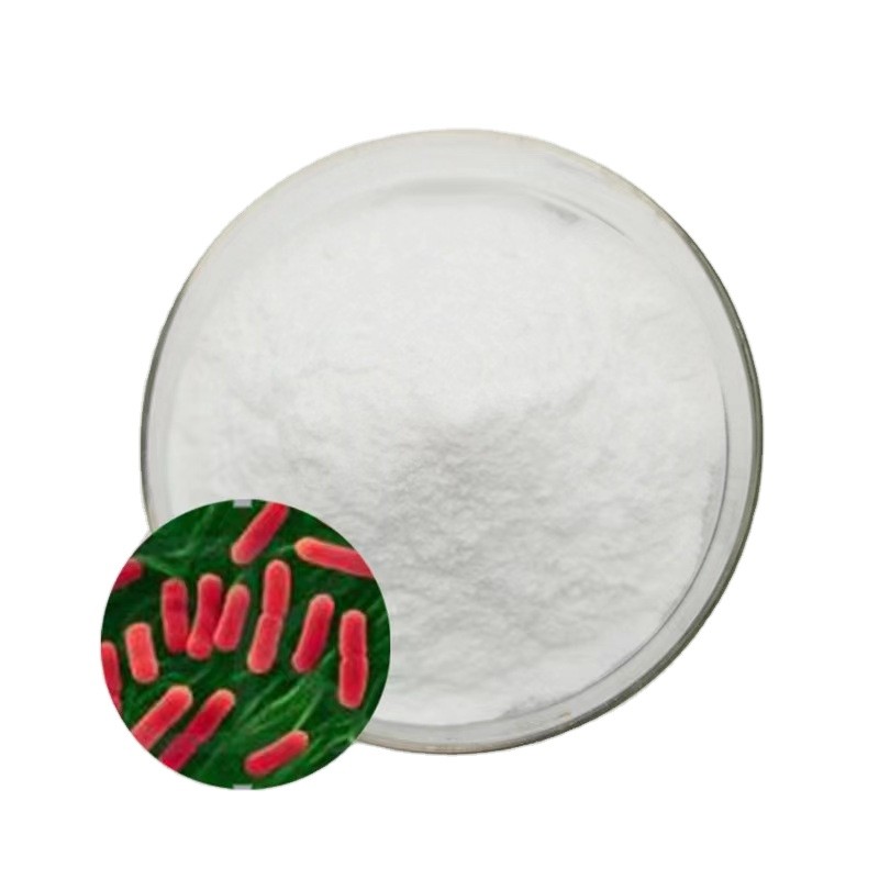 Halal Probiotics Food Supplement Lactobacillus 10 Billion 18  Strains Probiotic Blend Bulk Probiotic Powder