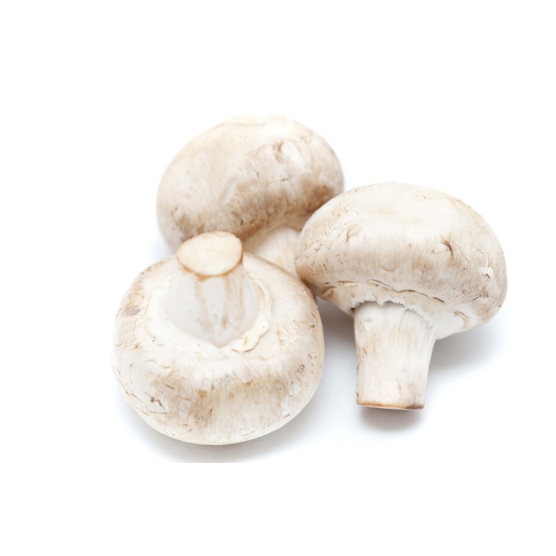 Wholesale Bulk Agaricus Bisporus Extract  Powder  Polysaccharides Agaricus Bisporus Powder