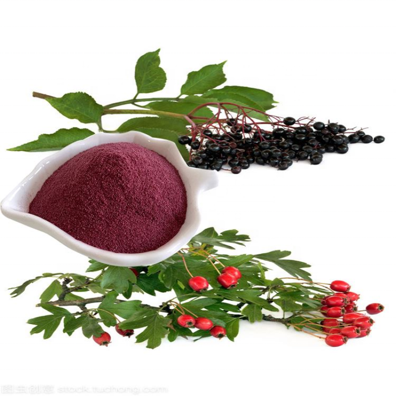 Wholesale Elderberry Extract 25% Anthocyanidins Elderberry Dried Fruit