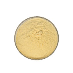 Chinese Factory Alpha Lipoic Acid Supplement 98% Alpha Lipoic Acid