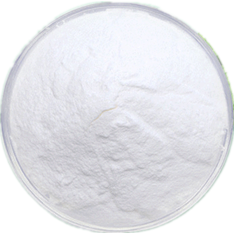 High Activity Probiotics Powder Food Grade 100Billion Bacillus Coagulans