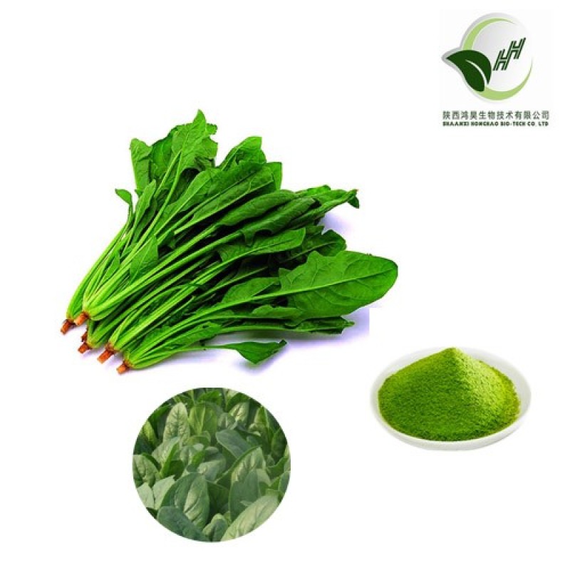 Factory Supply Wholesale Spinach Juice Powder Spinach Powder