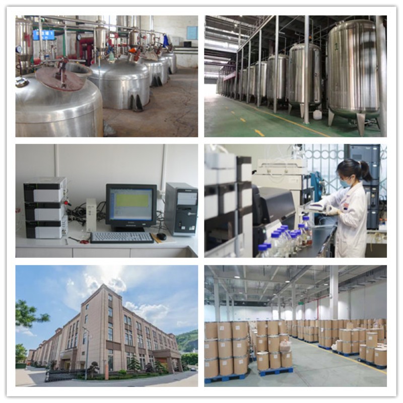 Chinese Factory Supply Black Maca Extract Powder Maca Powder