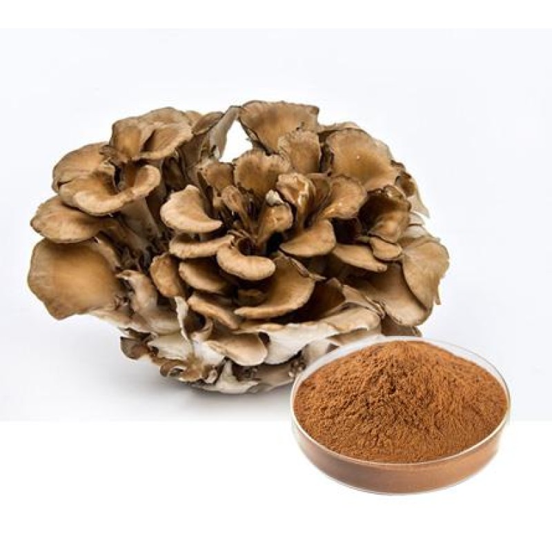 Maitake Mushroom Powder Fruiting Body Pure Natural Organic Maitake Powder