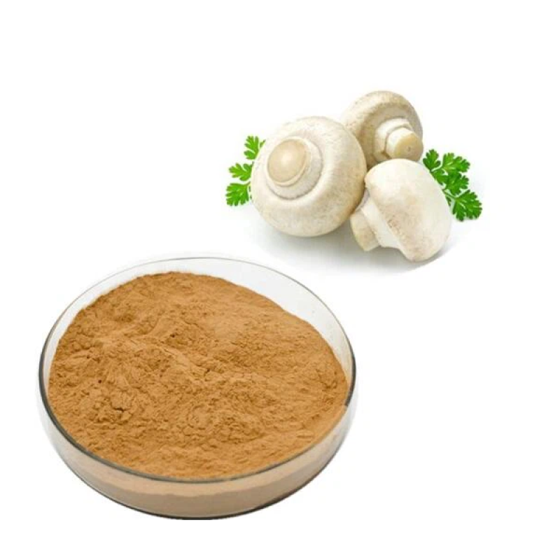 Wholesale Bulk Agaricus Bisporus Extract  Powder  Polysaccharides Agaricus Bisporus Powder