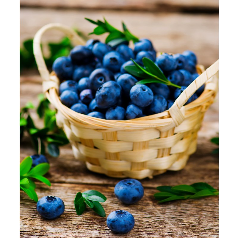 Wild Blueberry Powder Organic Food Grade Organic Blueberry Powder Fruit