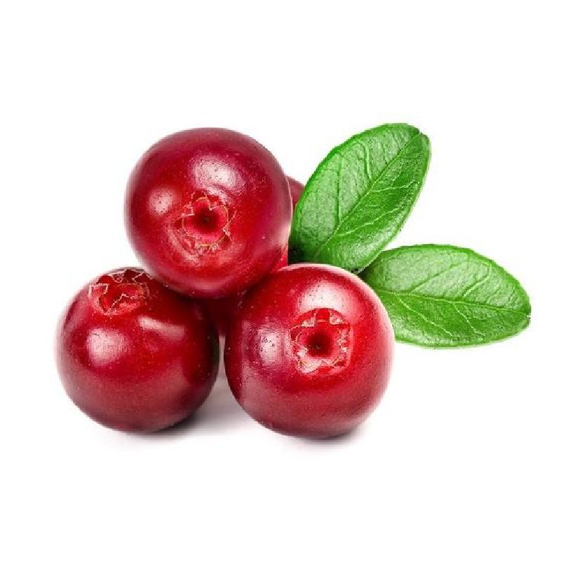 Cranberry Powder Food Grade Cranberry Fruit Powder Supplement Fruit Extract Cranberry Juice Powder