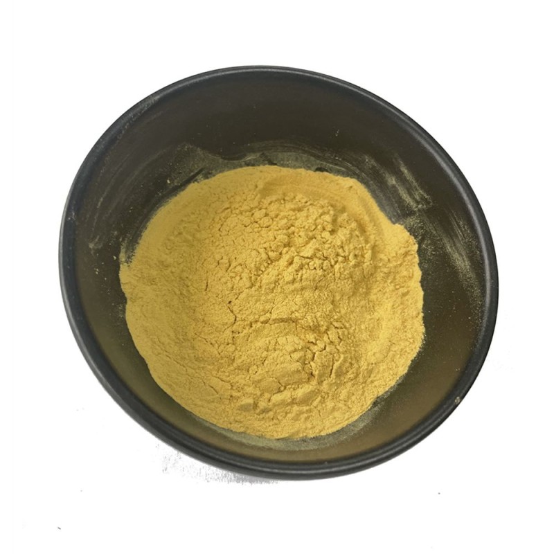 Organic/ Kosher/ Halal Certificated Cordyceps Militaris Extract 20% Polysaccharides