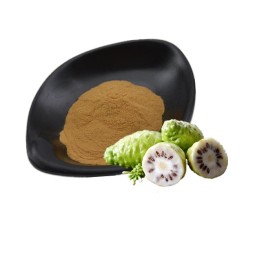 Noni Extract Powder Wholesale Natural Noni Fruit Powder Noni Powder Food Grade