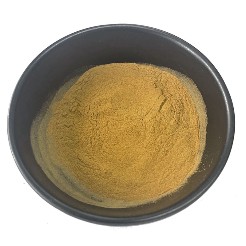 60% Hydroxycitric Acid Garcinia Cambogia Extract 60% HCA