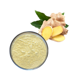 Wholesale Factory Supply  Ginger root extract Gingerol Ginger Extract Powder