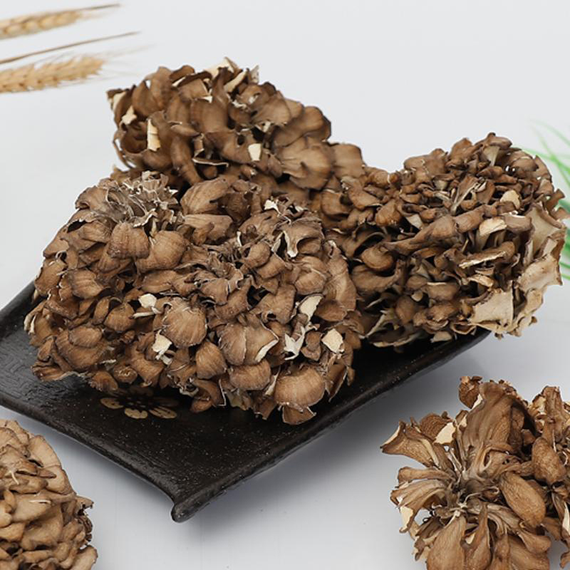 Maitake Mushroom Powder Fruiting Body Pure Natural Organic Maitake Powder