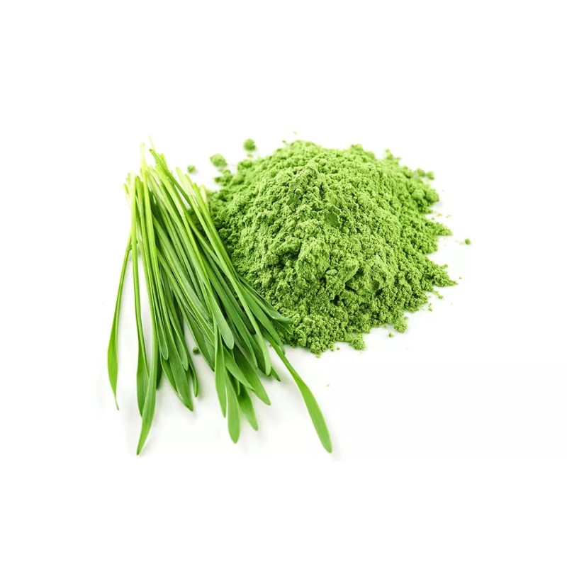 Organic ISO Halal Kosher BRC Certificated 100% Pure Green Powder Barley Grass Extract Barley Grass Powder Organic Barley Grass E