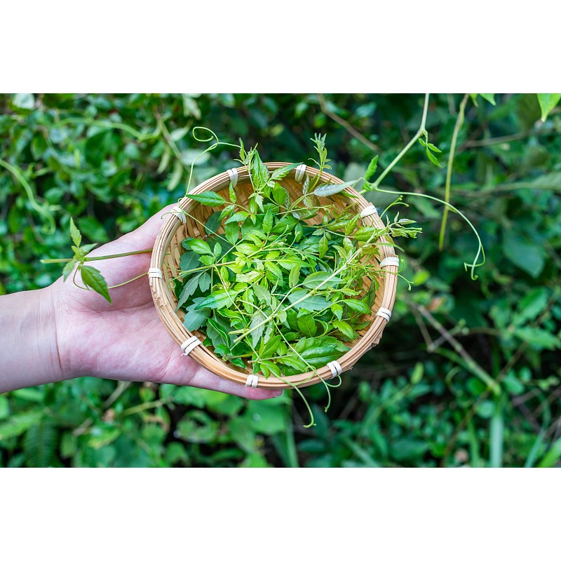 Dihydromyricetin Capsules Powder Wholesale 98% DHM Dihydromyricetin in Bulk