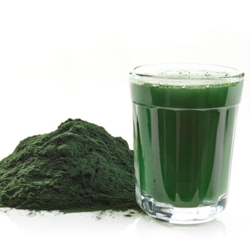 Chlamydomonas Reinhardtii Extract Powder Wholesale Price Algae Chlamydomonas Reinhardtii Powder 99%
