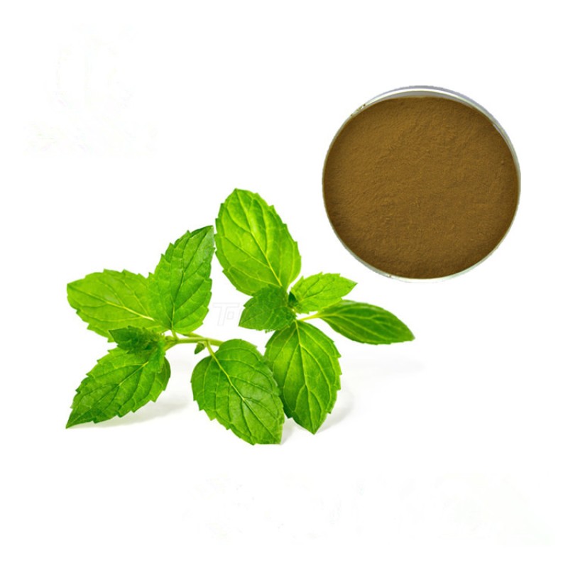 100% Natural Organic Peppermint Extract Peppermint Leaf Extract Powder